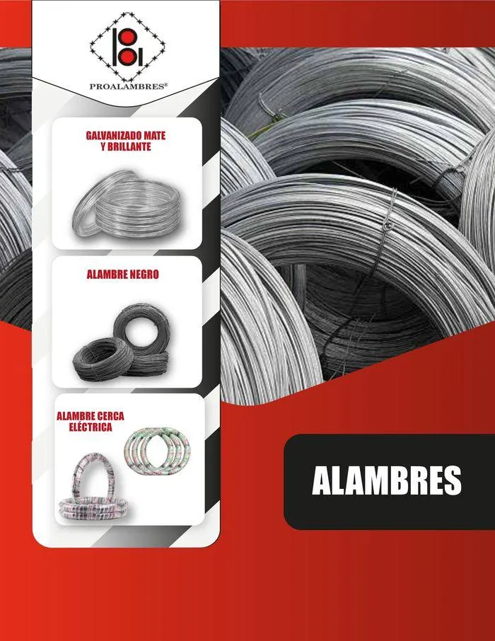 Catalogo de CATÁLOGO DE PRODUCTOS 15 de enero al 31 de diciembre 2024 - Pag 3