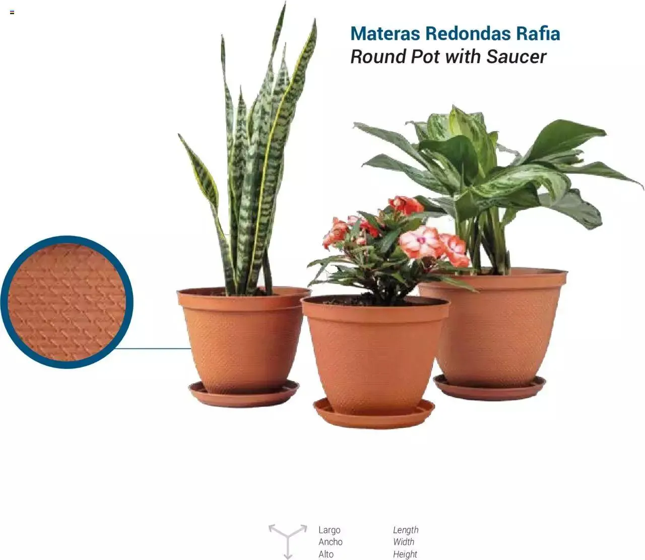 Catalogo de Rimax - Folleto 1 de marzo al 31 de diciembre 2024 - Pag 12