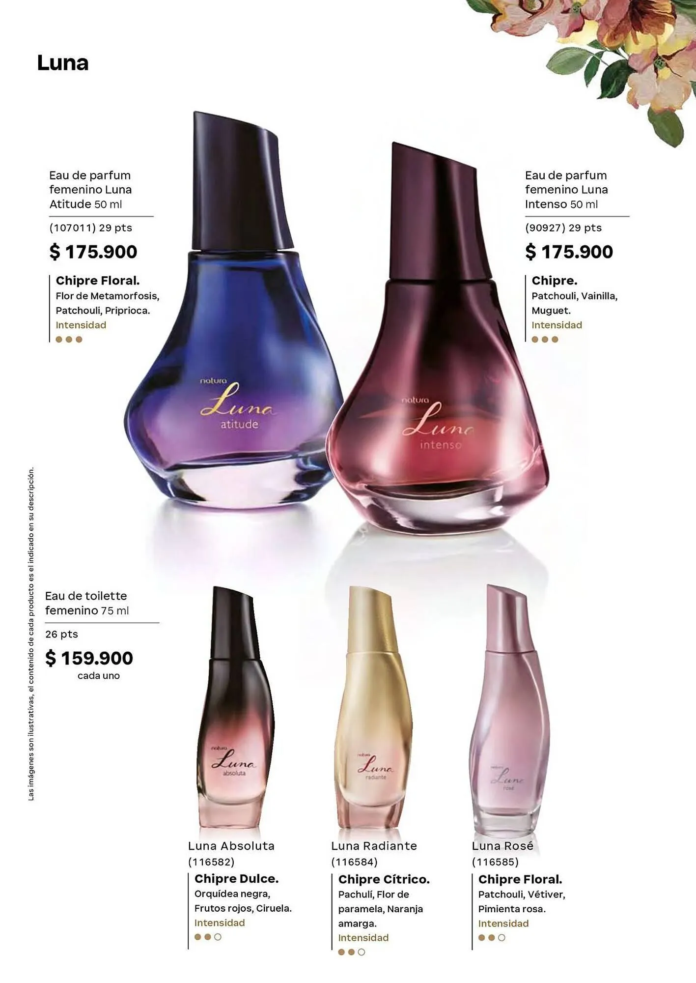 Catalogo de Catálogo Natura 1 de junio al 30 de junio 2026 - Pag 59