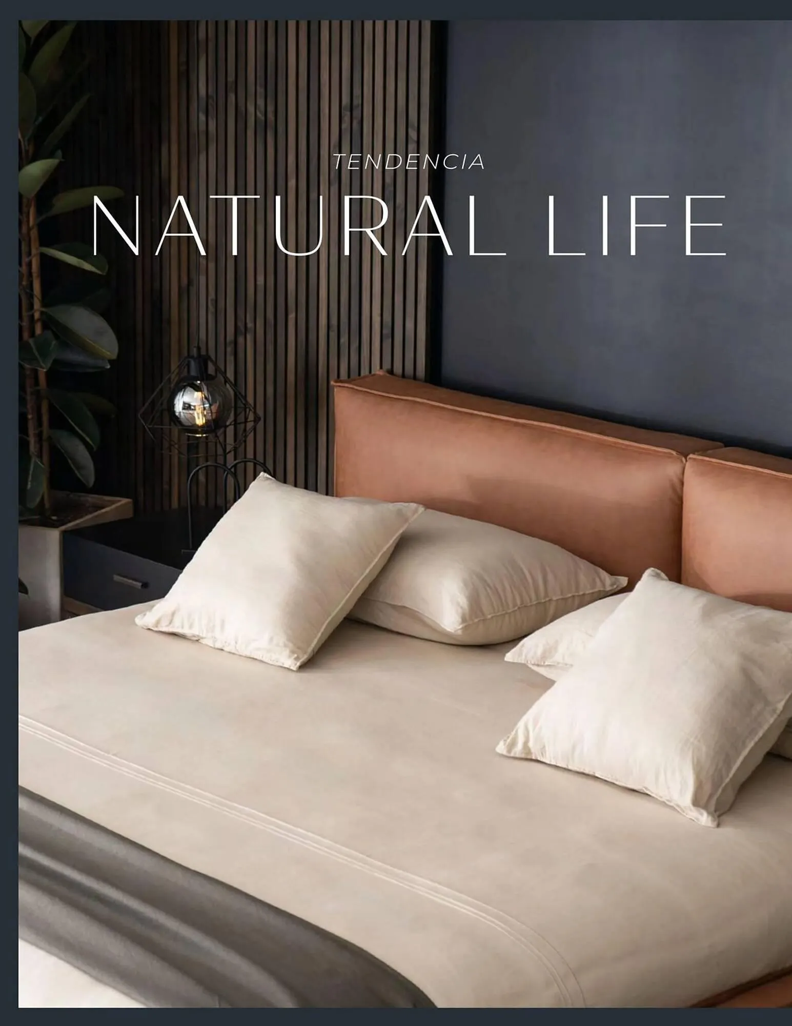 Catalogo de Catálogo Aristas 9 de febrero al 31 de diciembre 2024 - Pag 26