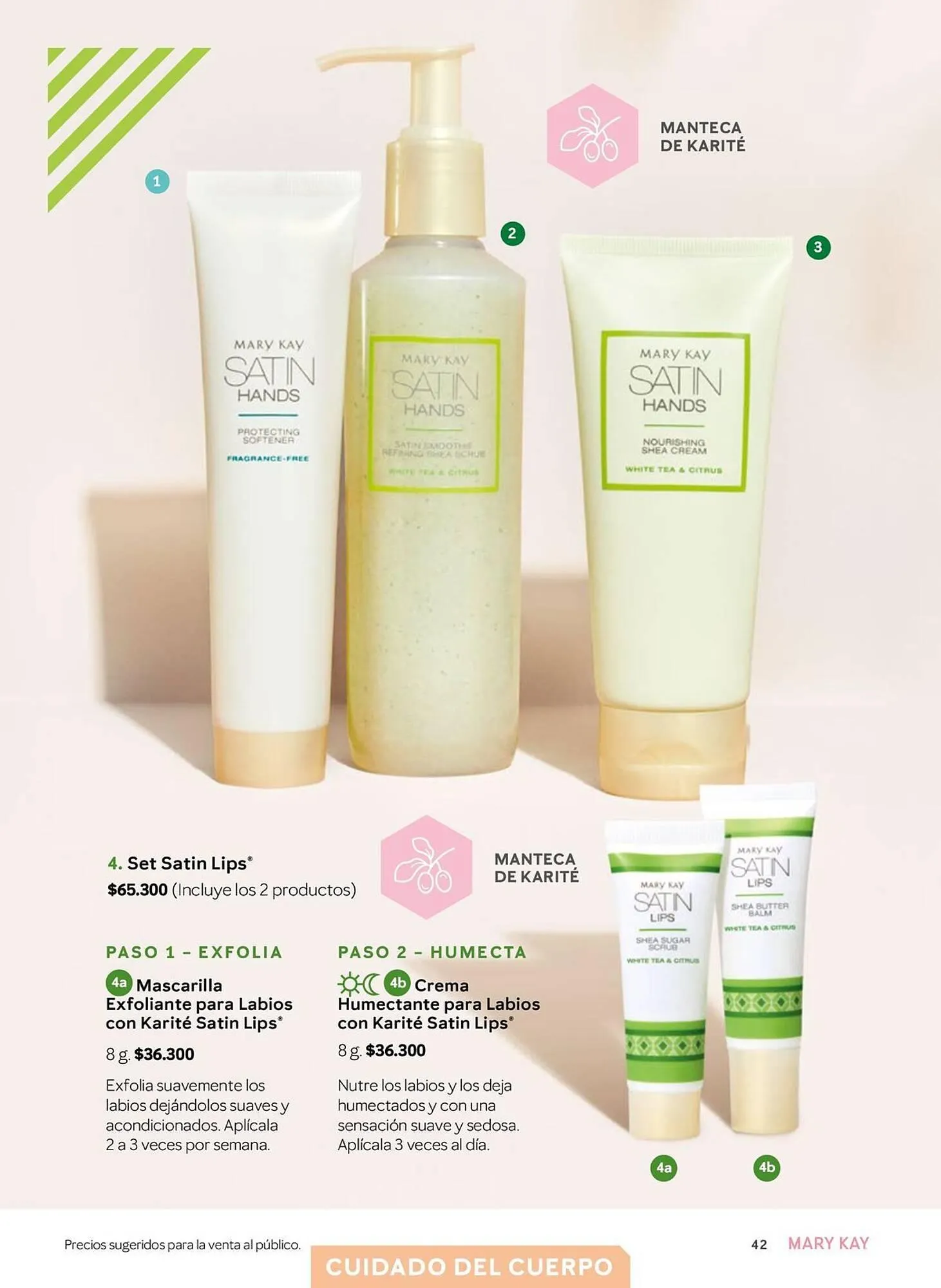 Catalogo de Catálogo Mary Kay 25 de marzo al 30 de abril 2025 - Pag 42