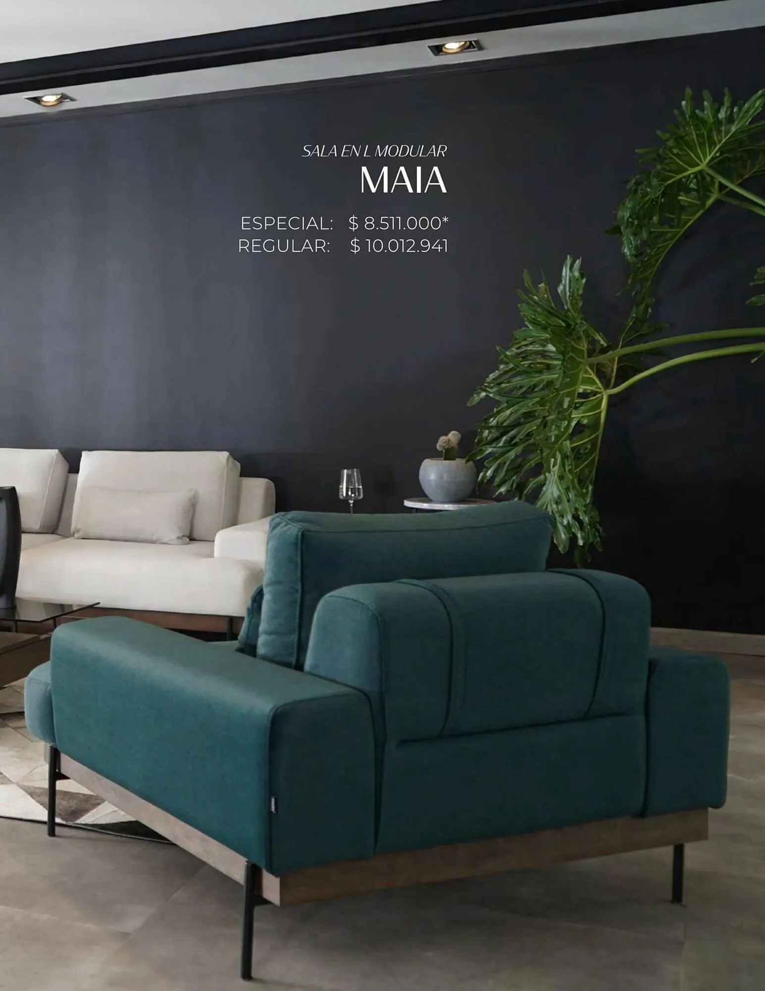 Catalogo de Catálogo Aristas 9 de febrero al 31 de diciembre 2024 - Pag 29