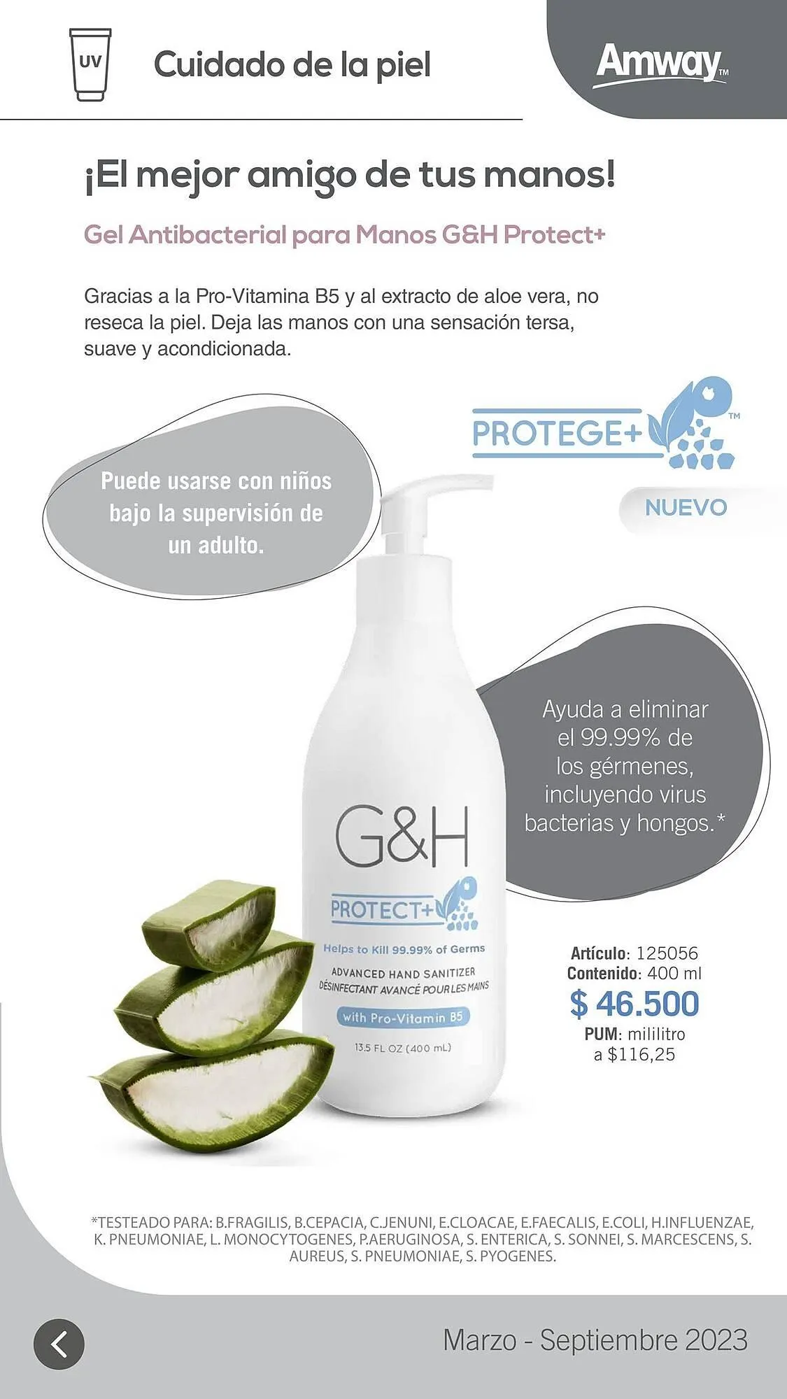 Catalogo de Catálogo Amway 14 de septiembre al 31 de diciembre 2024 - Pag 15