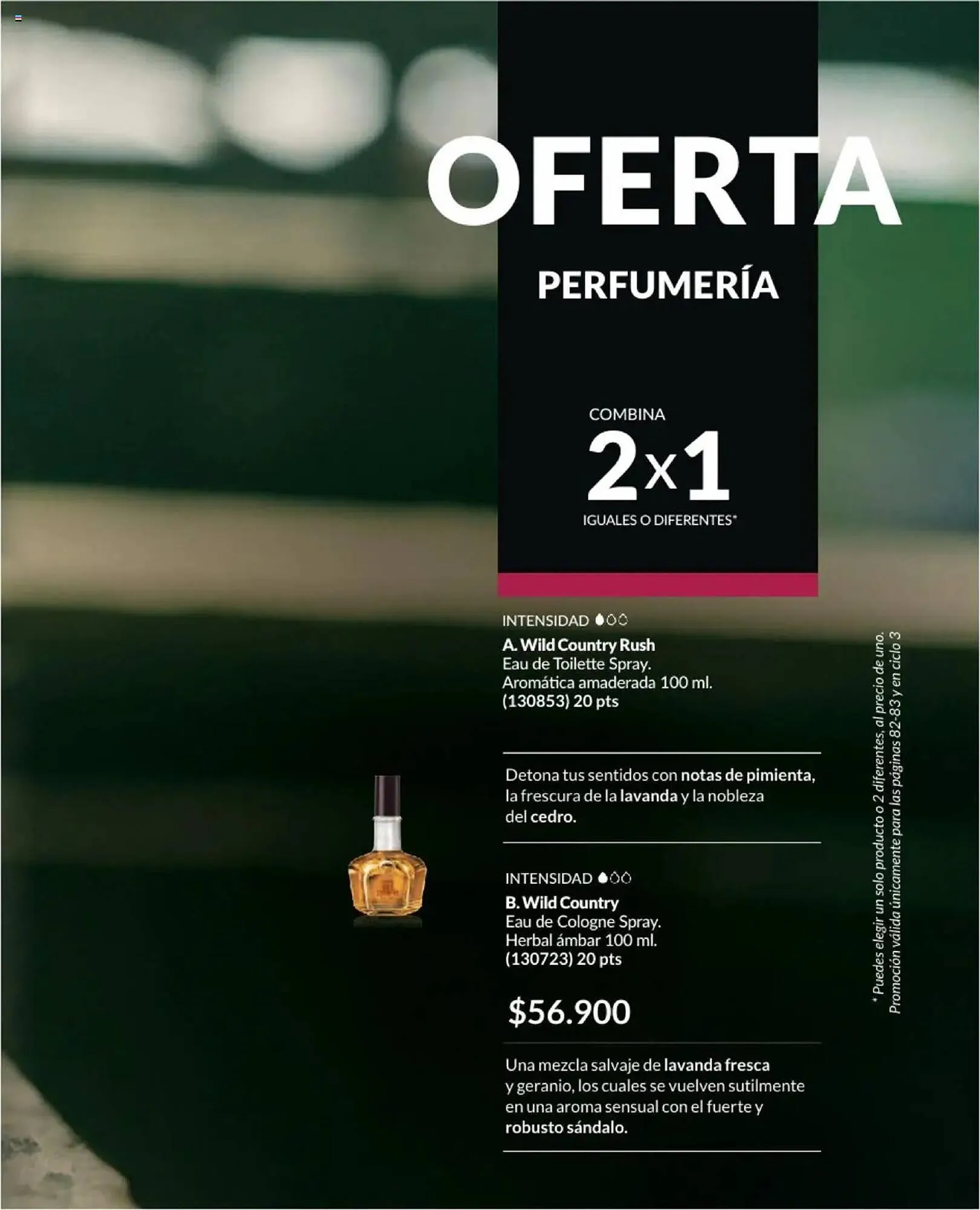 Catalogo de Catálogo Avon 15 de febrero al 31 de marzo 2025 - Pag 251