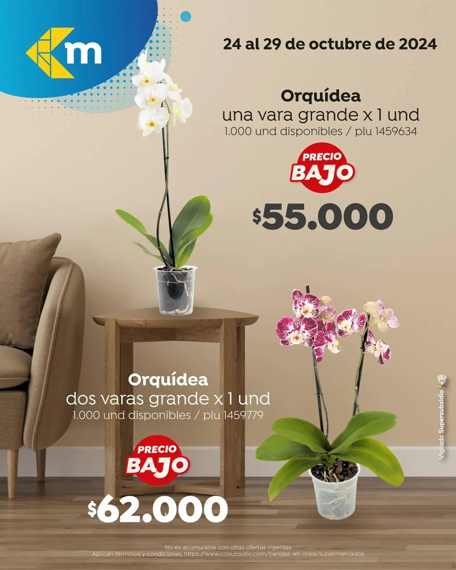 Catalogo de Catálogo Colsubsidio 25 de octubre al 8 de noviembre 2024 - Pag 1