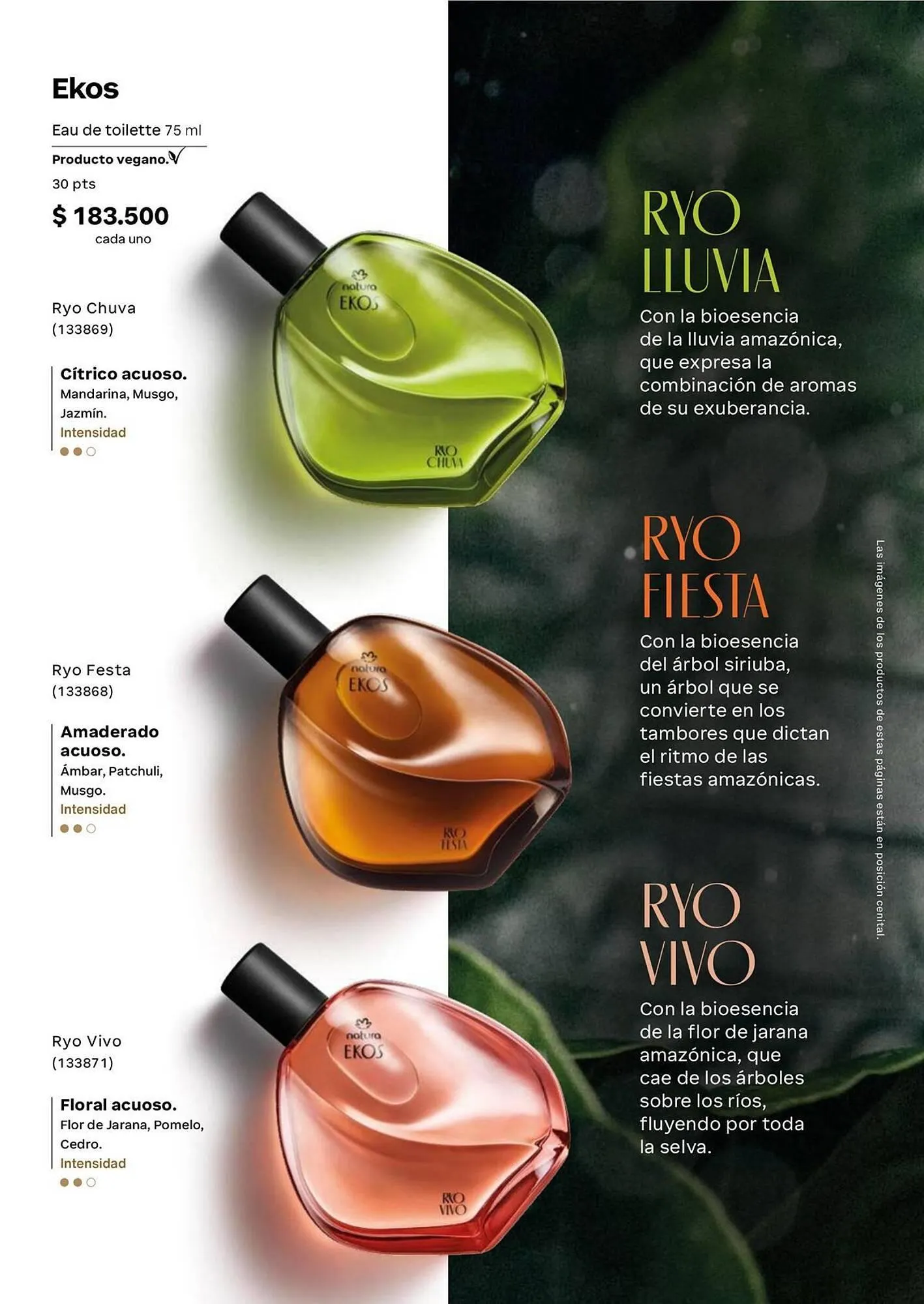 Catalogo de Catálogo Natura 1 de abril al 30 de abril 2026 - Pag 51