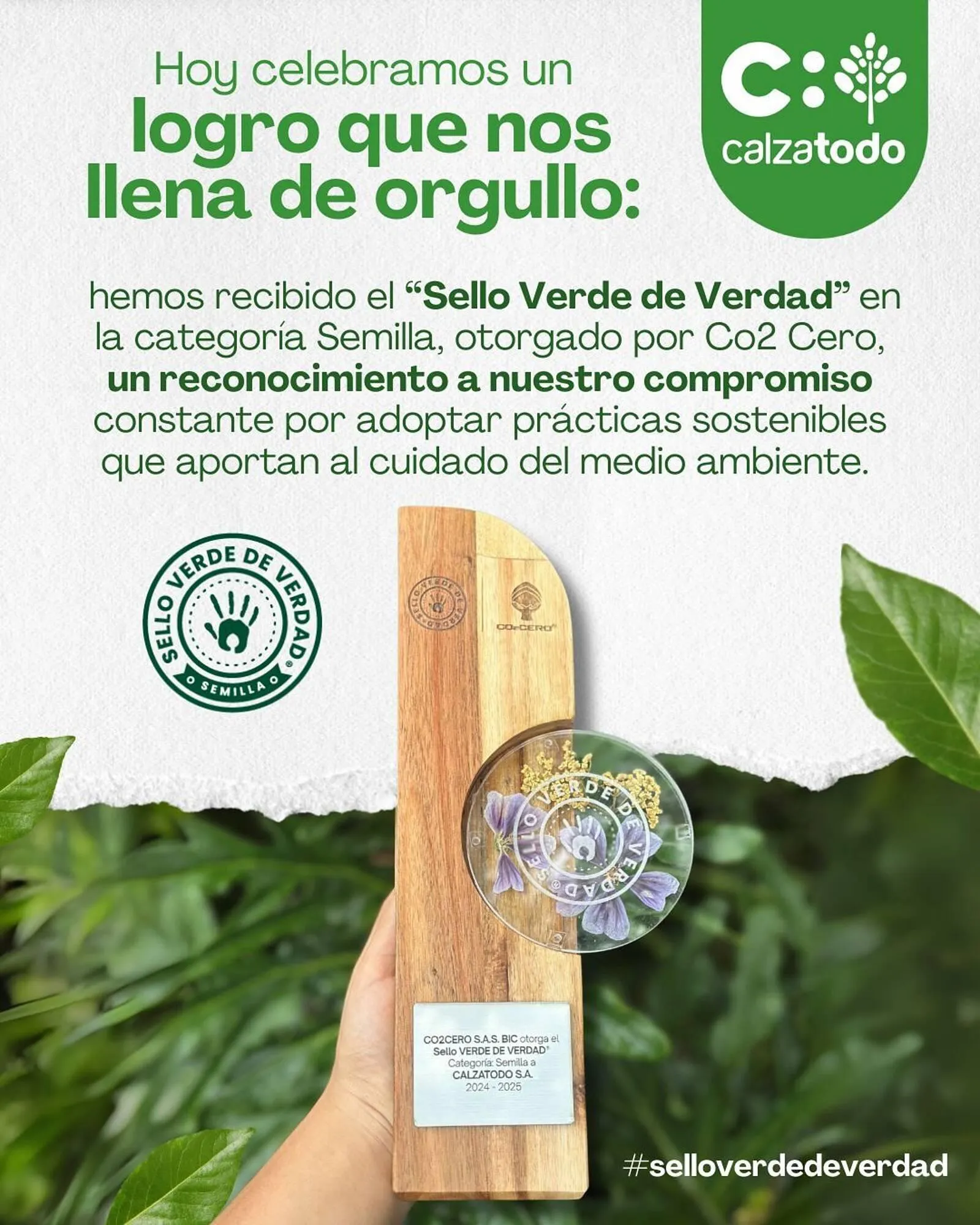 Catálogo calzatodo - 1