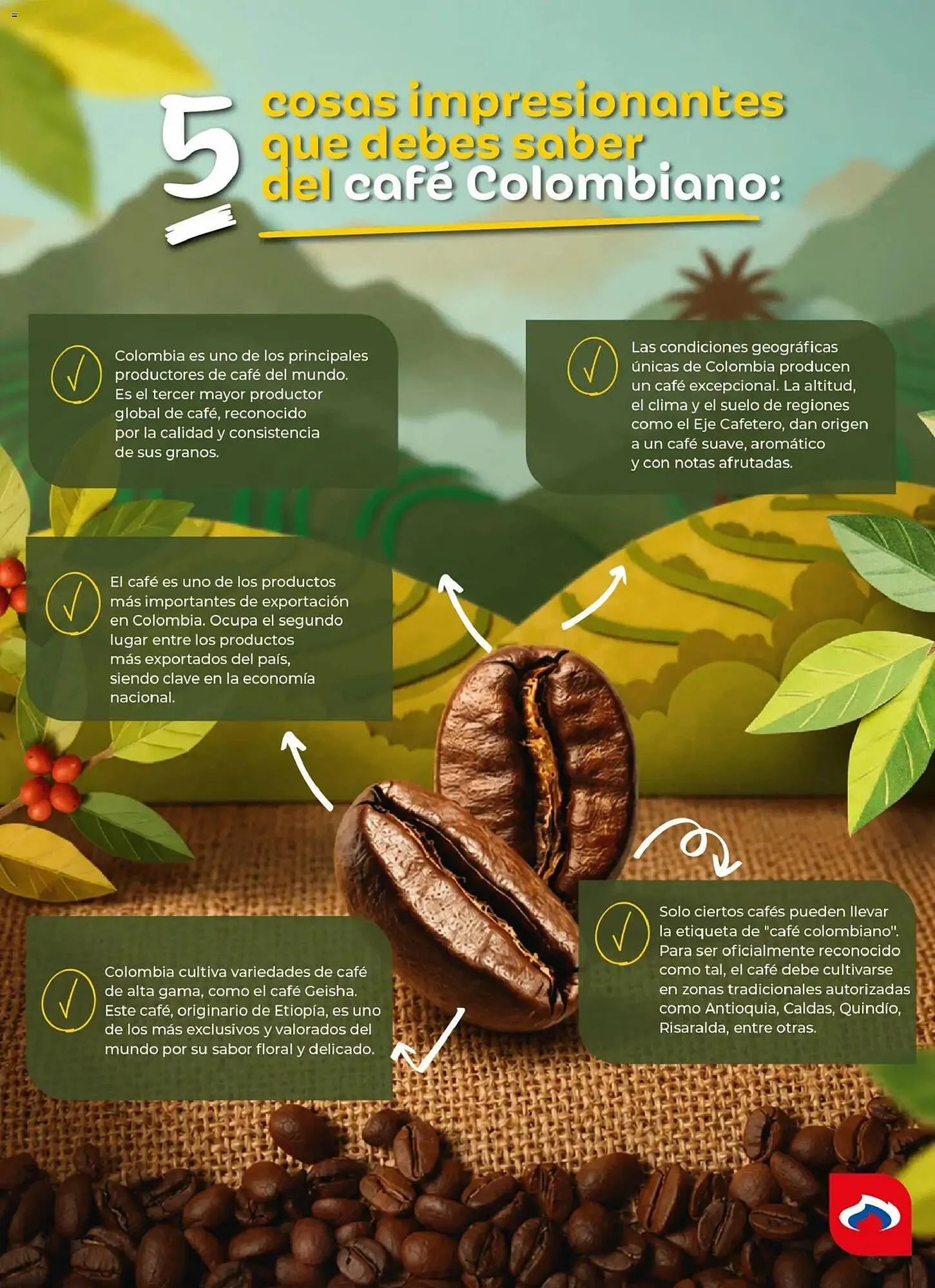 Catalogo de Catálogo Olímpica 18 de junio al 2 de agosto 2026 - Pag 16