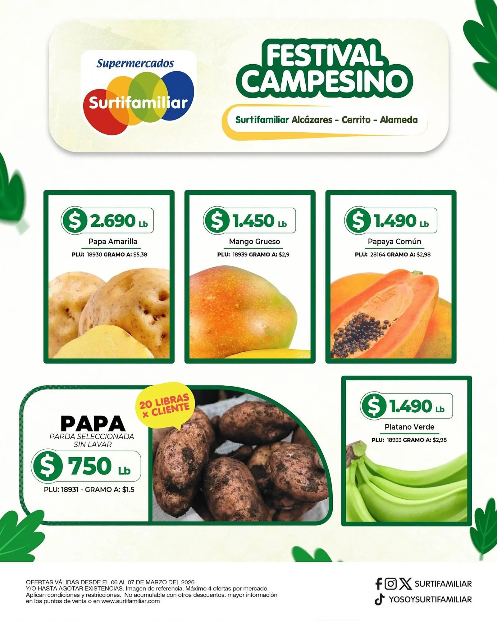 Catalogo de Catálogo Surtifamiliar 6 de marzo al 7 de marzo 2026 - Pag 2