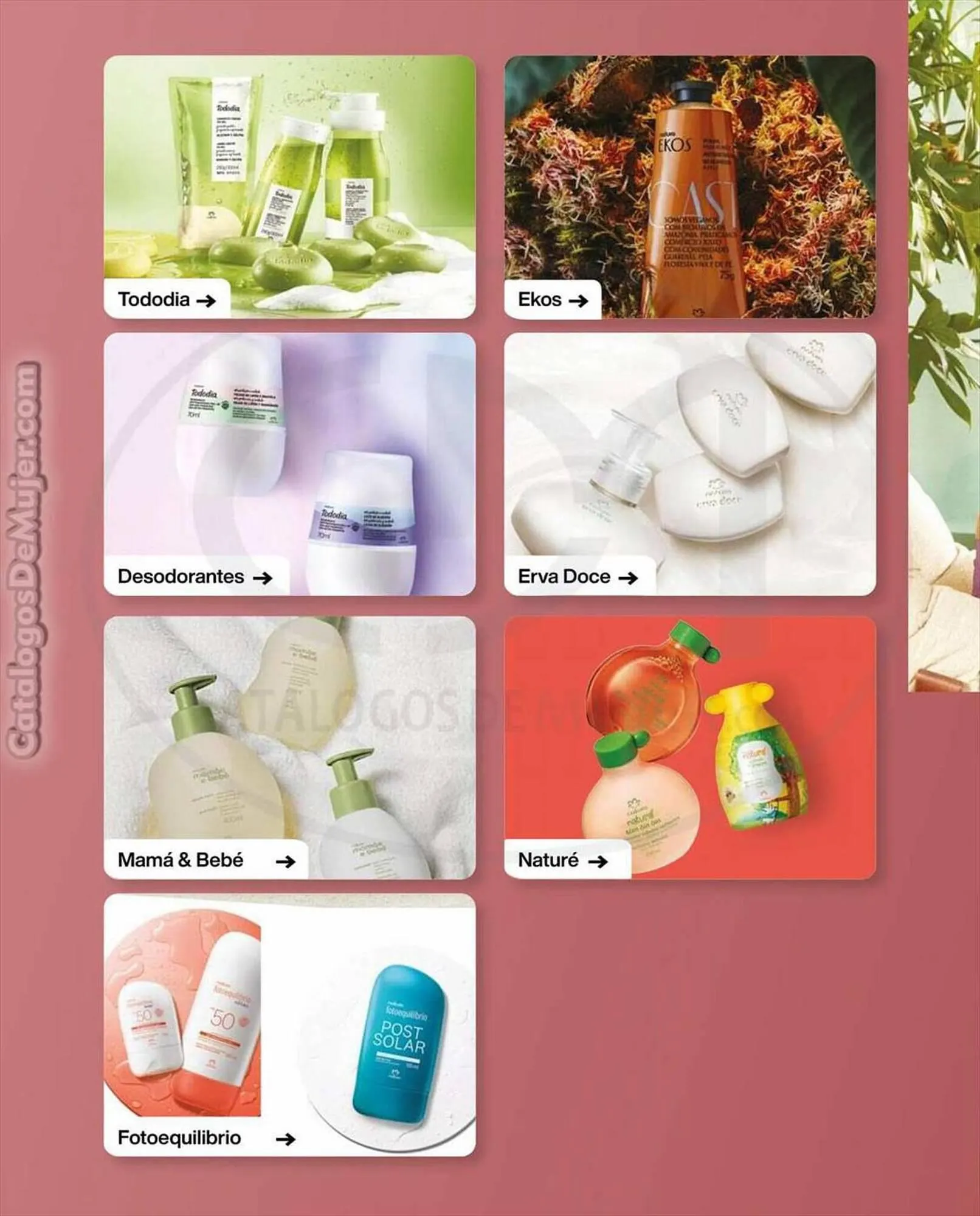 Catalogo de Catálogo Natura 8 de septiembre al 30 de septiembre 2023 - Pag 82