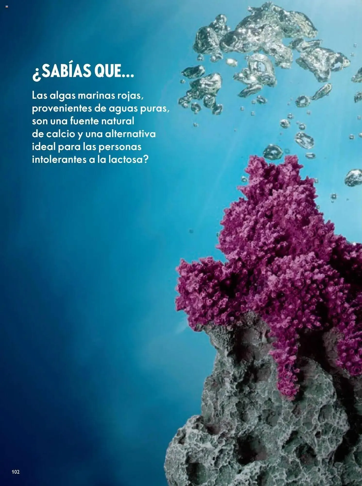Catalogo de Catálogo Oriflame 12 de julio al 2 de agosto 2025 - Pag 102
