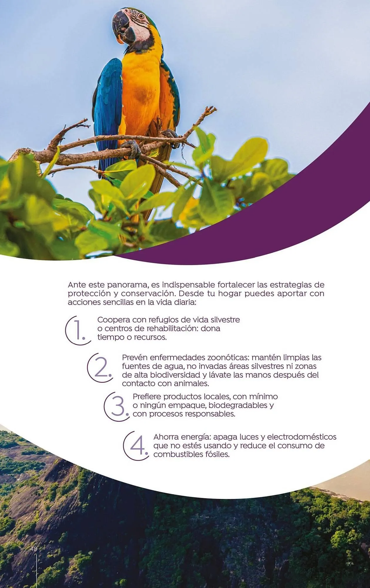 Catalogo de Catálogo Droguerías Colsubsidio 15 de octubre al 31 de octubre 2025 - Pag 48