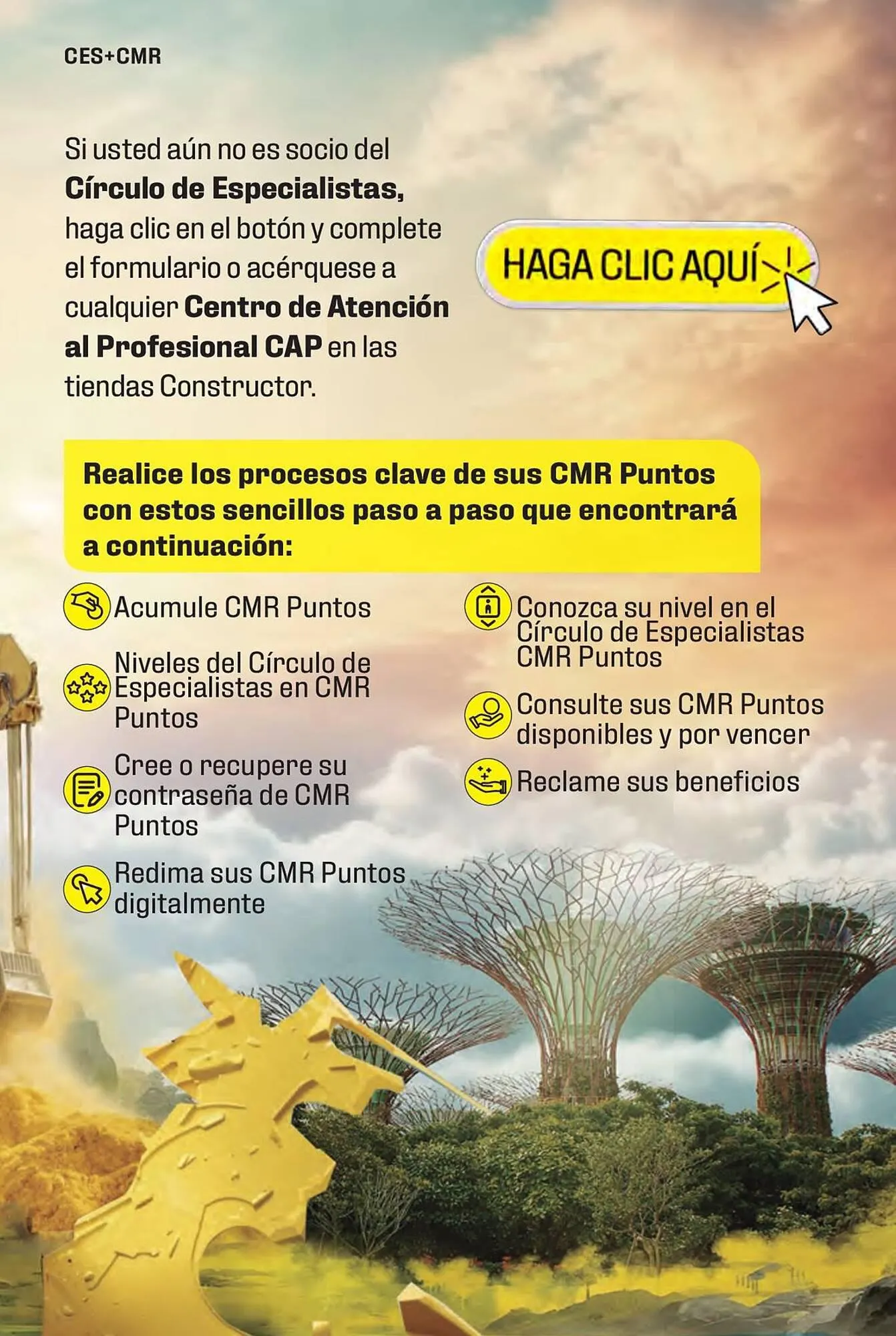 Catalogo de Catálogo Constructor 15 de enero al 31 de marzo 2024 - Pag 61