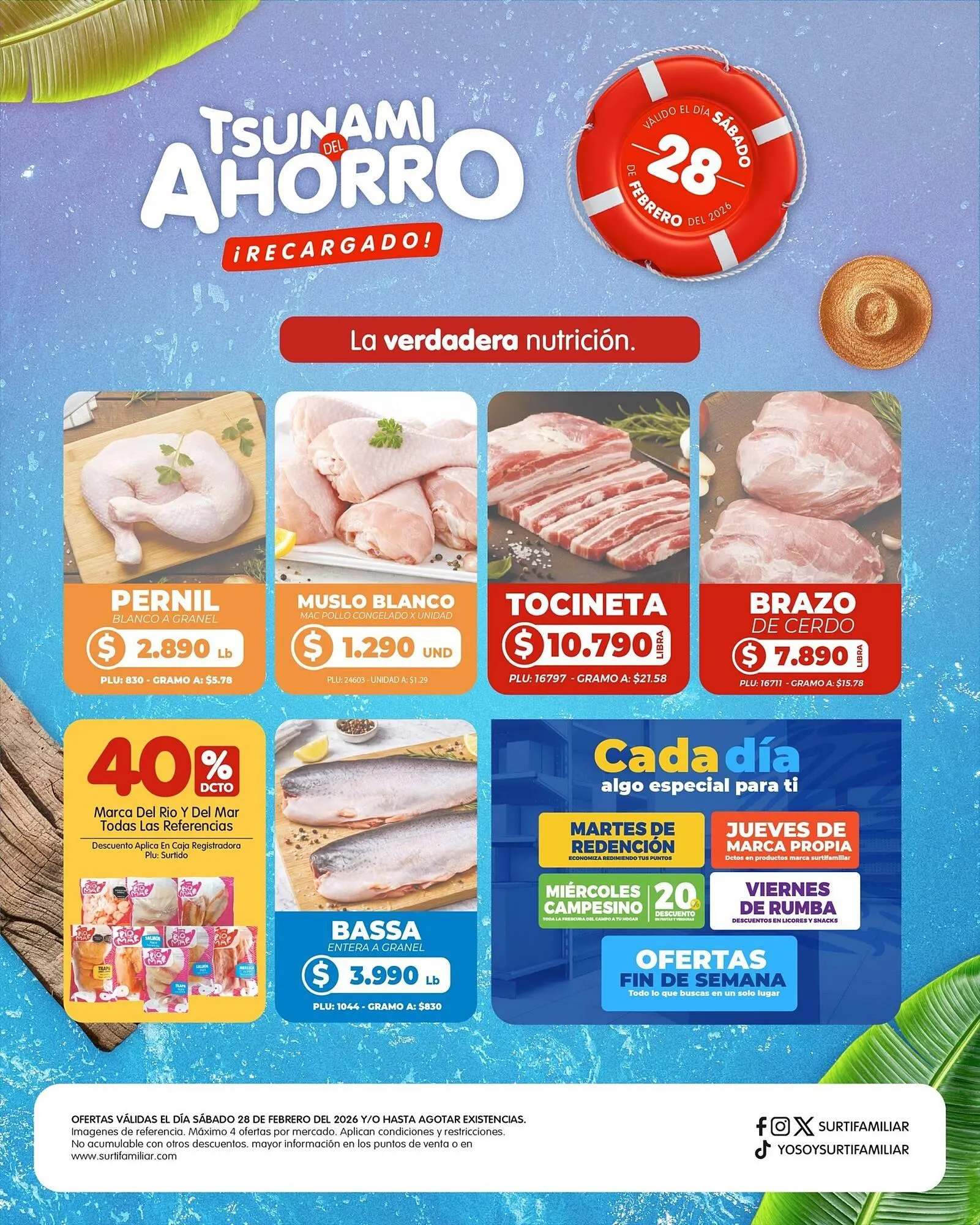 Catalogo de Catálogo Surtifamiliar 28 de febrero al 28 de febrero 2026 - Pag 3