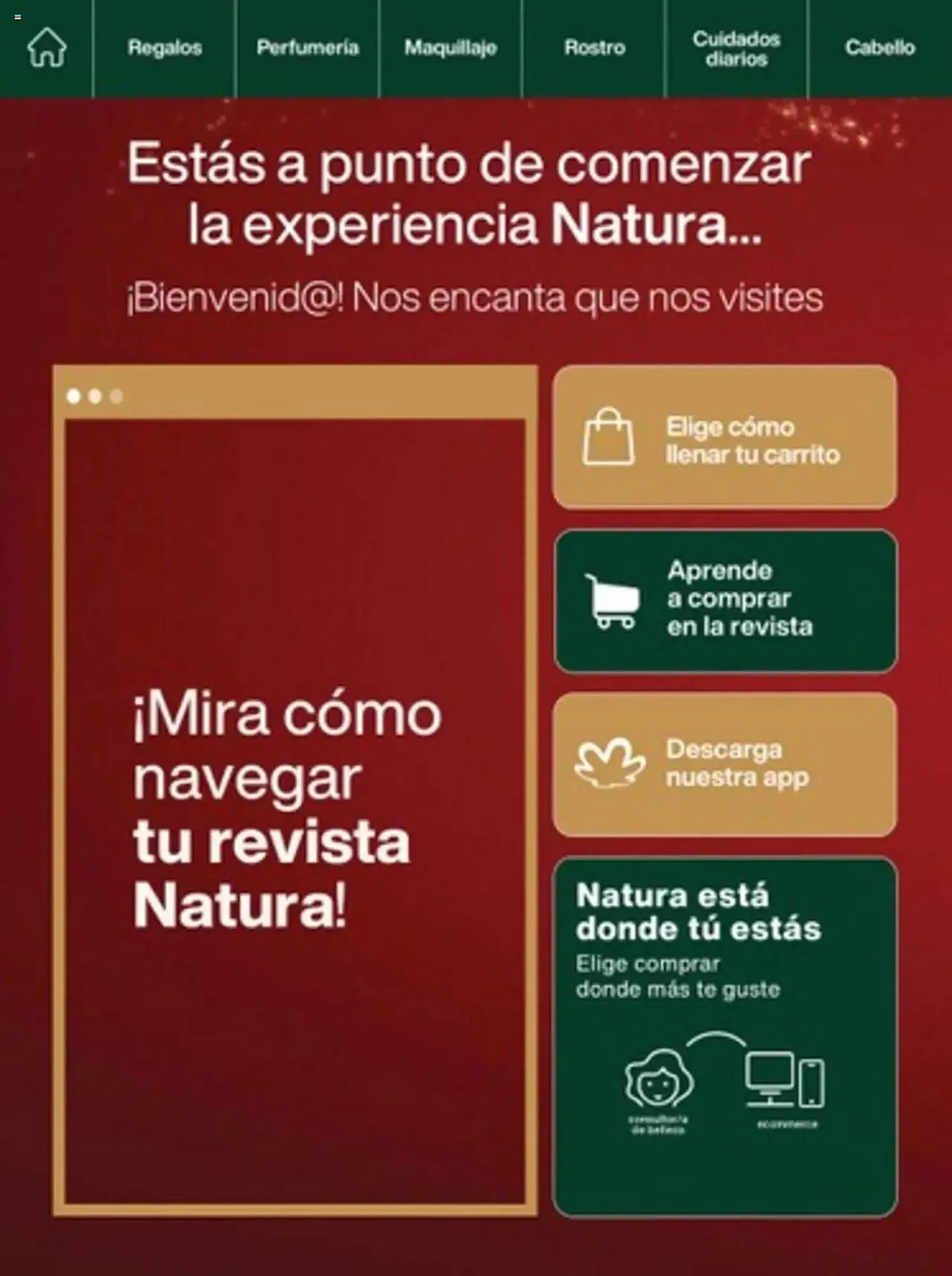 Catalogo de Catálogo Natura 27 de noviembre al 31 de diciembre 2024 - Pag 2