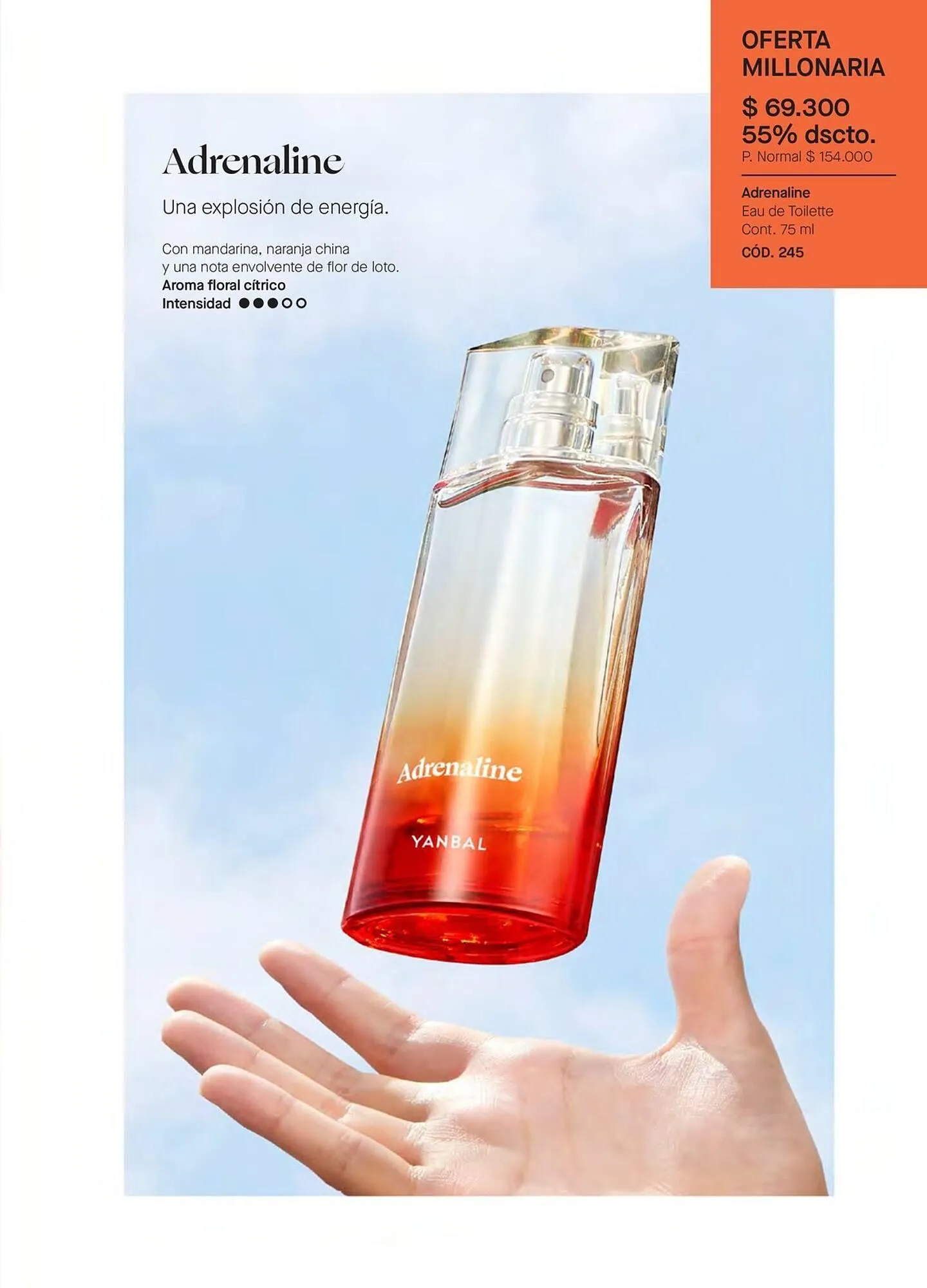 Catalogo de Catálogo Yanbal 3 de enero al 30 de enero 2026 - Pag 91