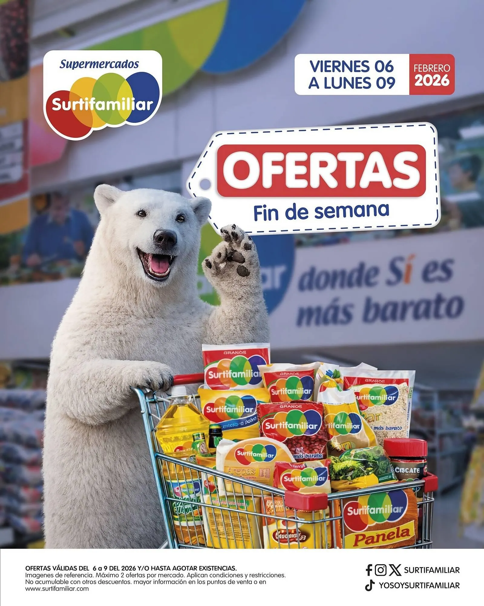 Catálogo Surtifamiliar - 1