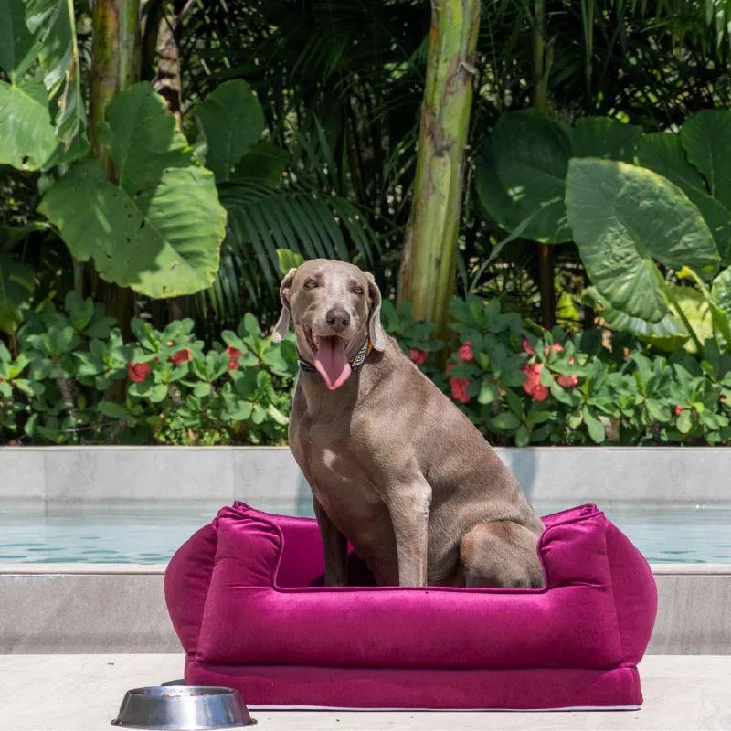 CAMA PARA MASCOTAS GRANDE RECTANGULAR FUCSIA