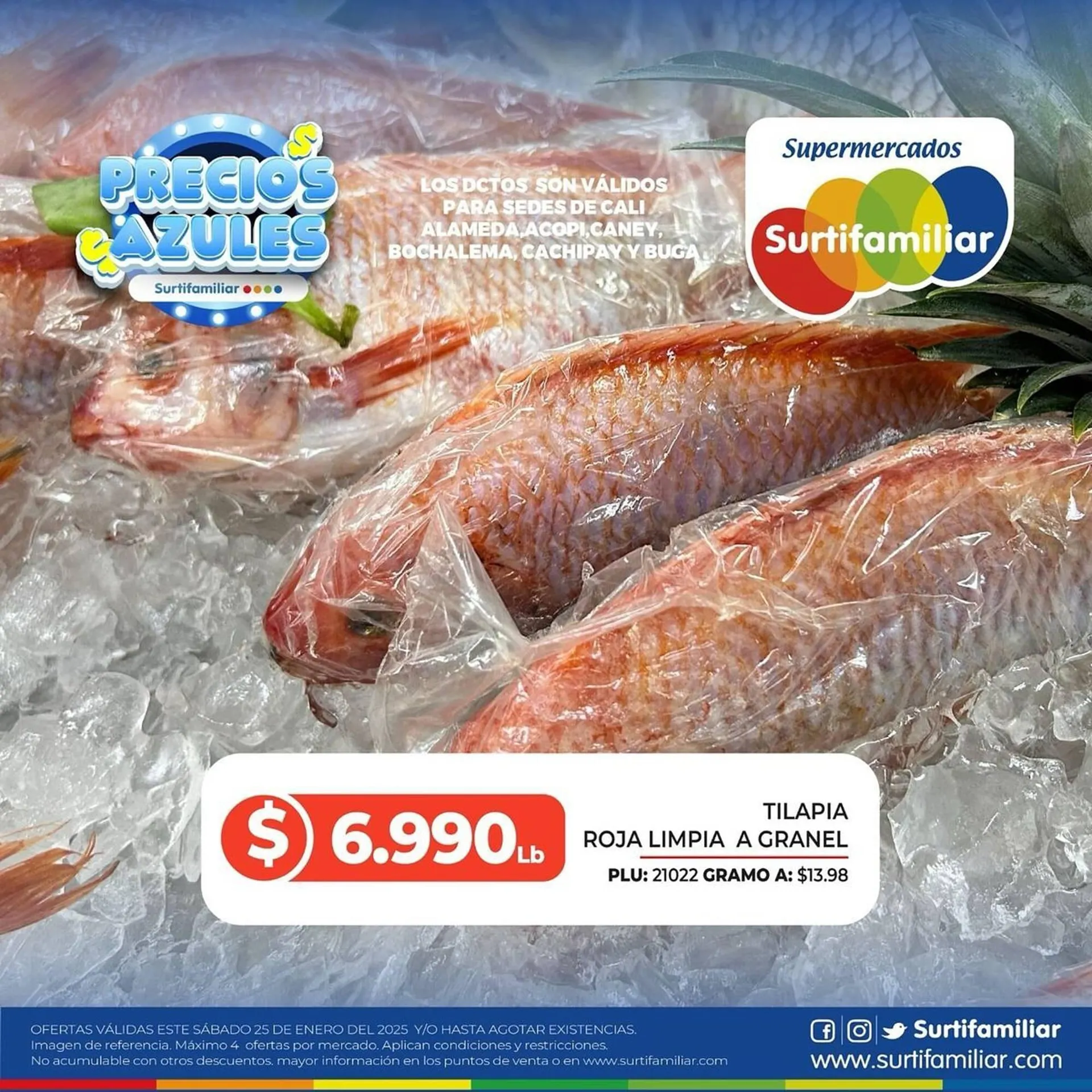 Catalogo de Catálogo Surtifamiliar 26 de enero al 10 de febrero 2025 - Pag 3