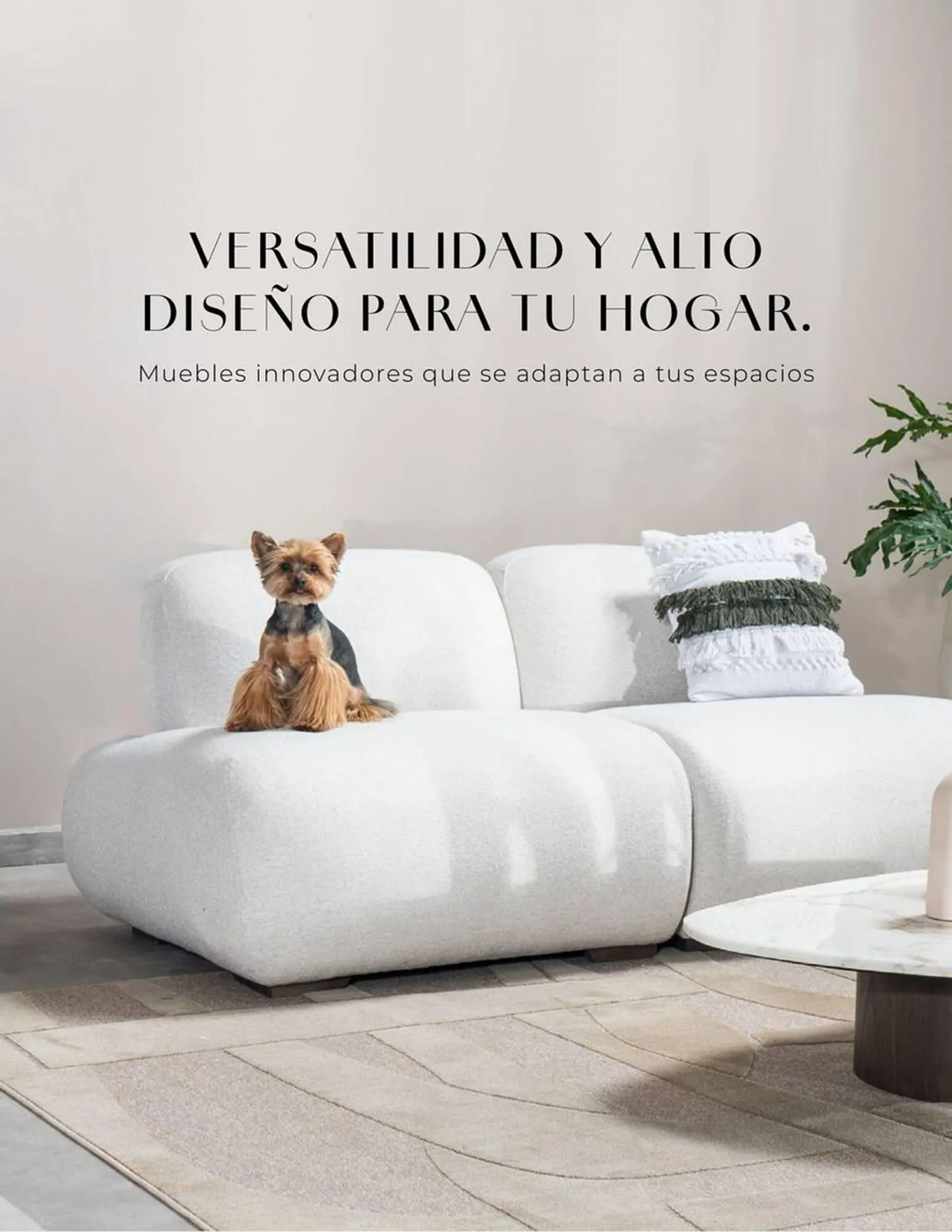 Catalogo de Catálogo Aristas 30 de septiembre al 31 de octubre 2025 - Pag 22