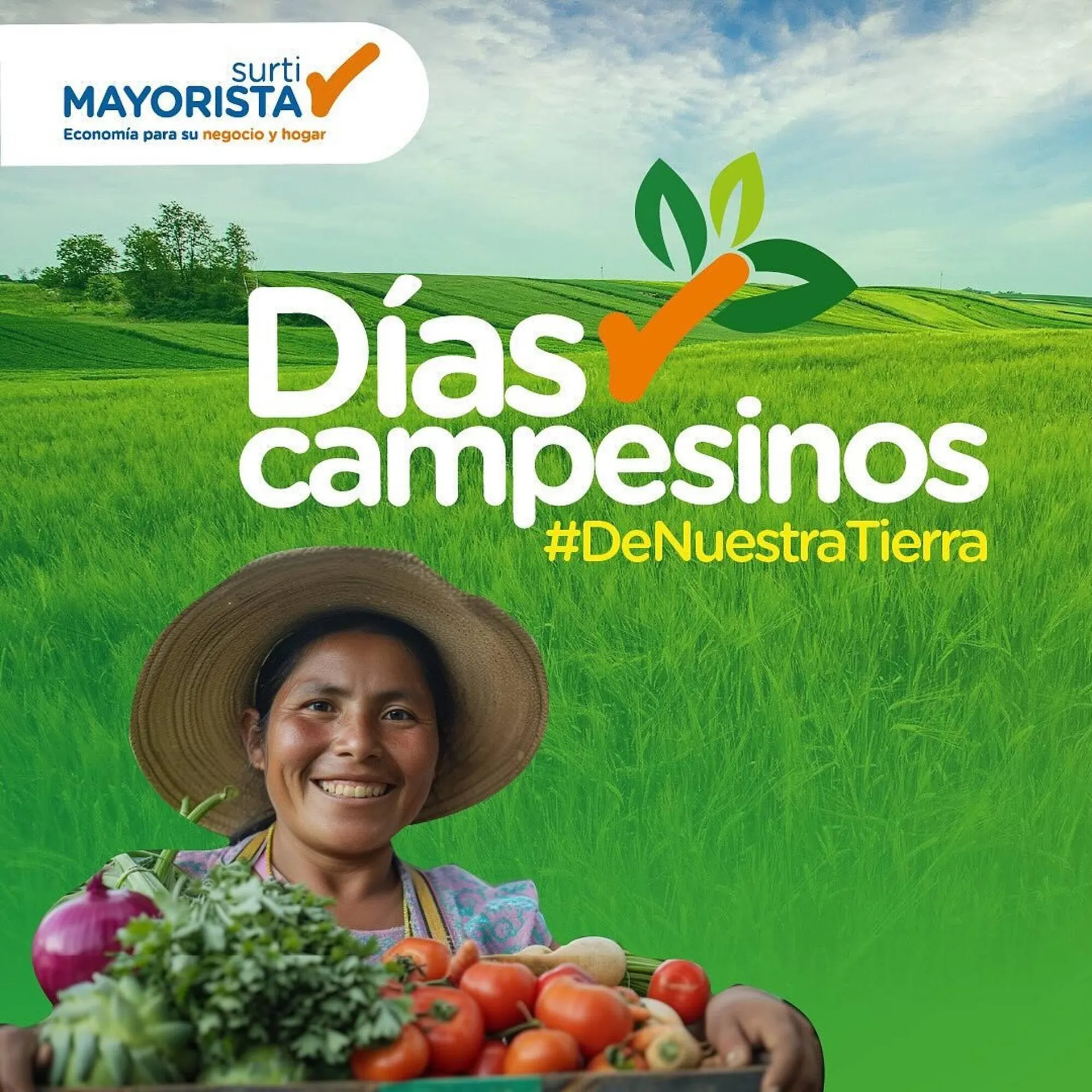 Catalogo de Catálogo Surtimayorista 25 de julio al 26 de julio 2024 - Pag 1