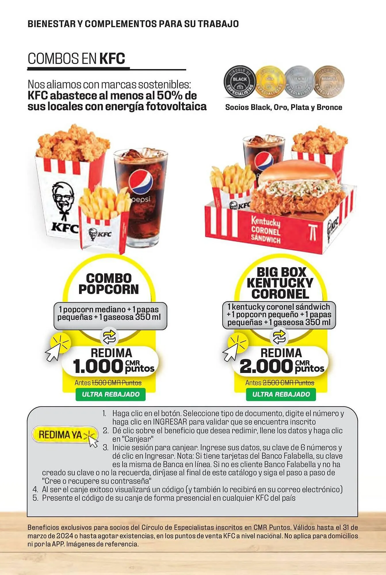 Catalogo de Catálogo Constructor 15 de enero al 31 de marzo 2024 - Pag 15