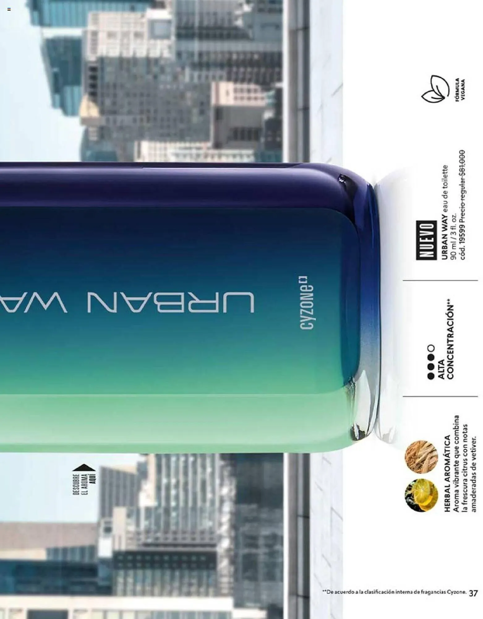 Catalogo de Catálogo Cyzone 1 de noviembre al 30 de noviembre 2024 - Pag 37