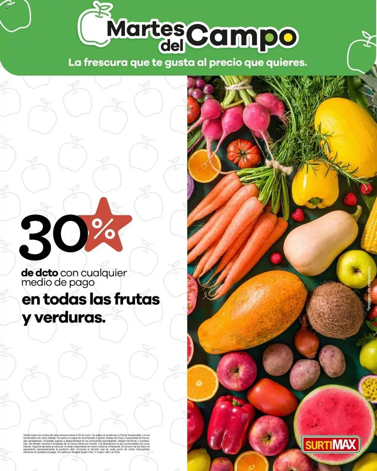 Catálogo Surtimax - 1