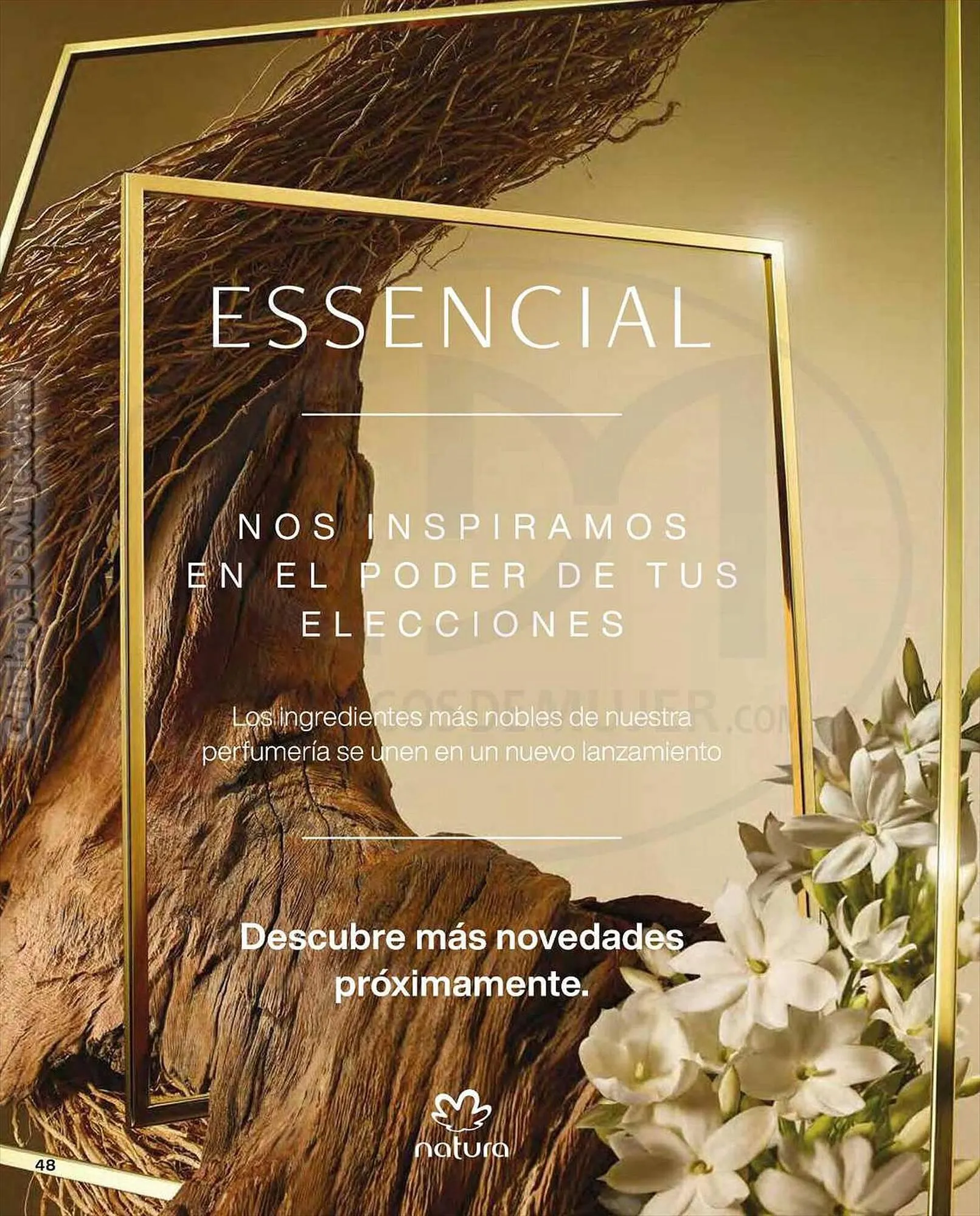 Catalogo de Catálogo Natura 31 de agosto al 2 de septiembre 2023 - Pag 48