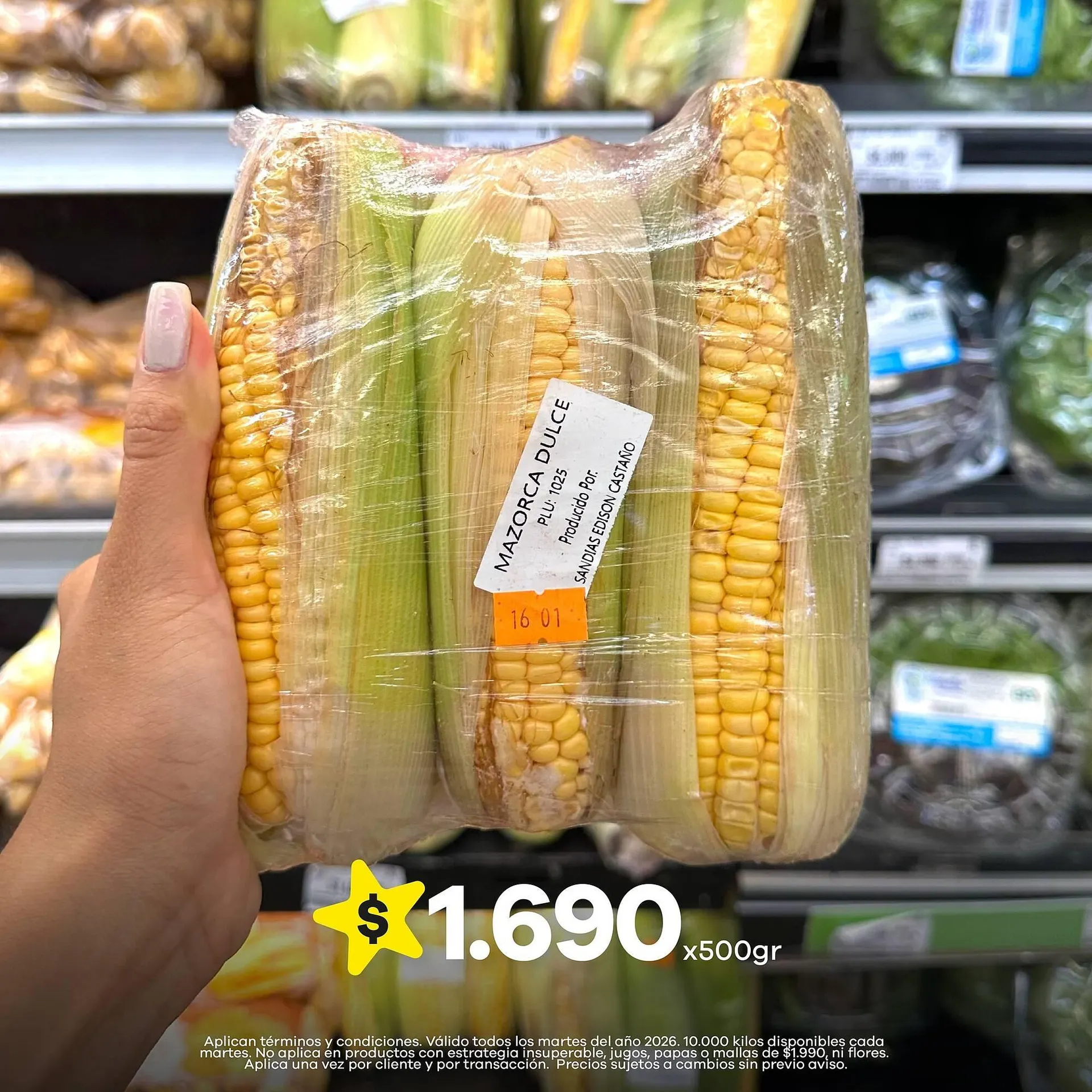 Catalogo de Catálogo Éxito 22 de abril al 28 de abril 2026 - Pag 4