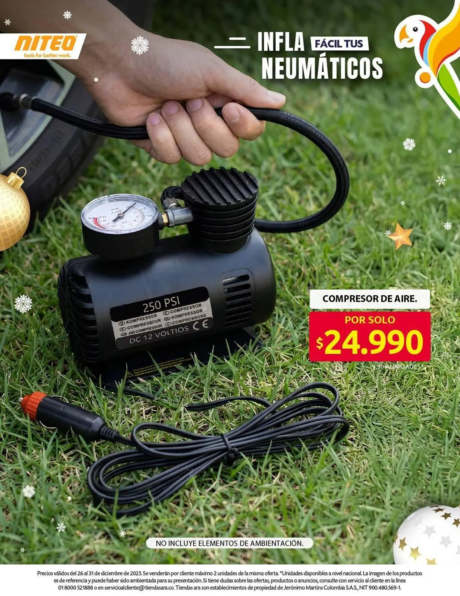 Catalogo de Catálogo Ara 26 de diciembre al 31 de diciembre 2025 - Pag 13