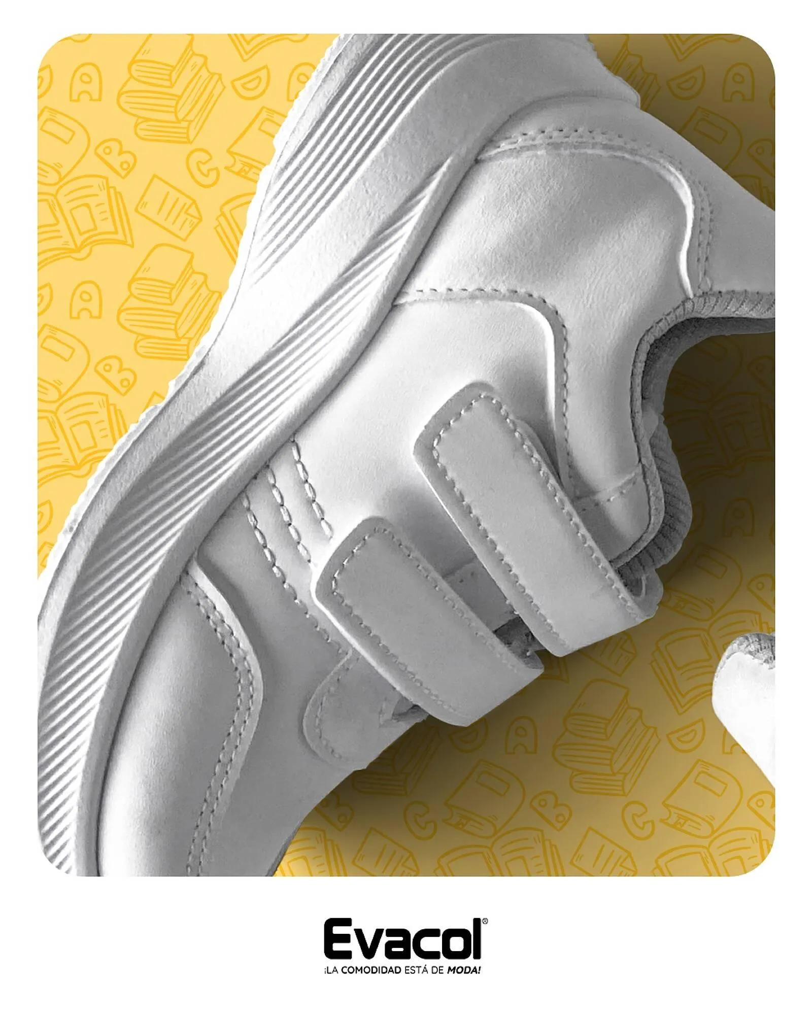 Catalogo de Catálogo Evacol 31 de enero al 6 de febrero 2025 - Pag 1