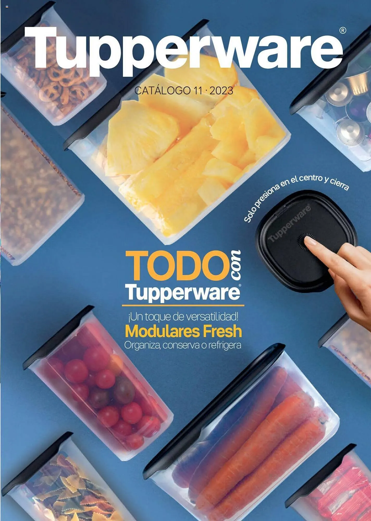 Catálogo Tupperware - 1