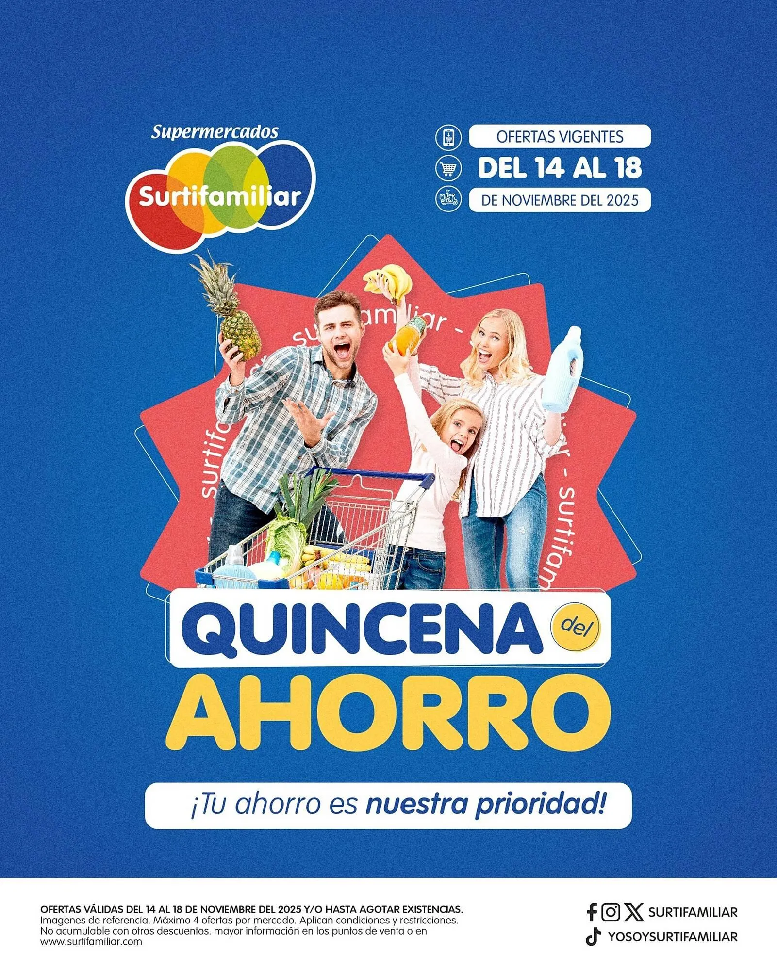 Catalogo de Catálogo Surtifamiliar 14 de noviembre al 18 de noviembre 2025 - Pag 1