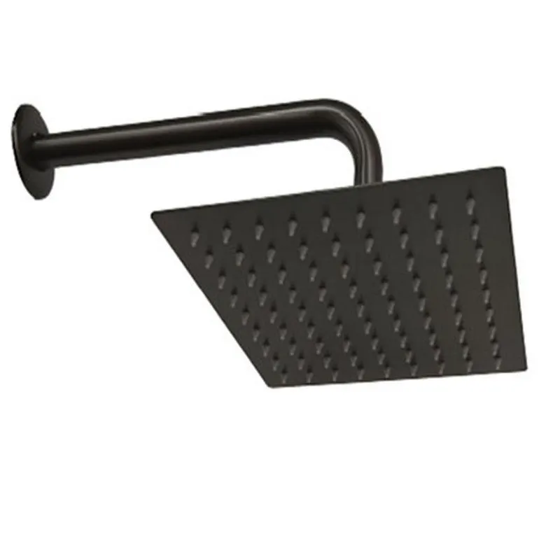 Regadera brazo grafito austral