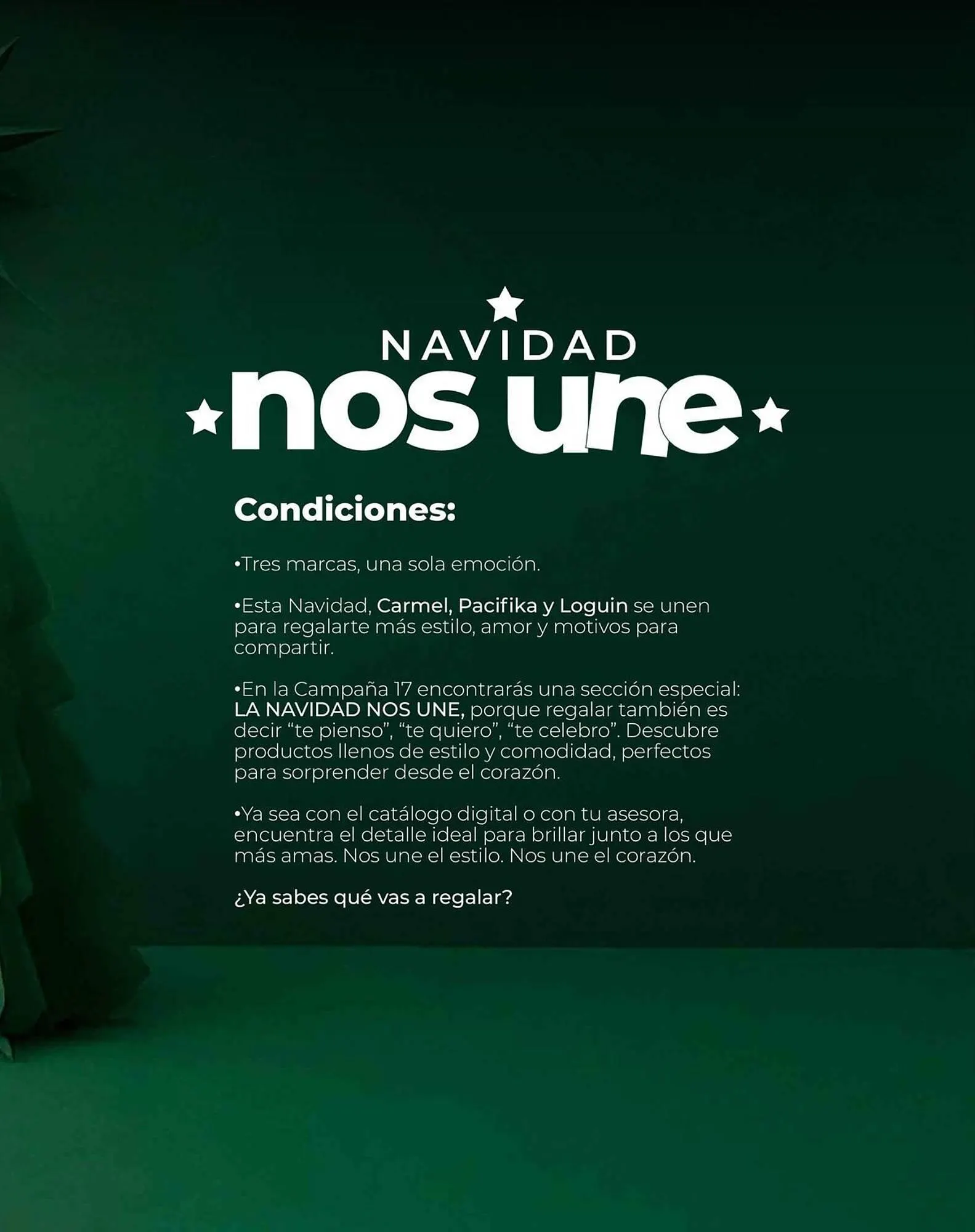 Catalogo de Catálogo Loguin 7 de octubre al 31 de diciembre 2025 - Pag 115