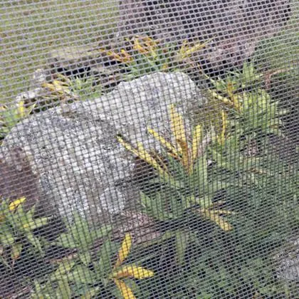 Malla Cedazo 4X4 Plastica Gris de 1.50 X 30 Mts