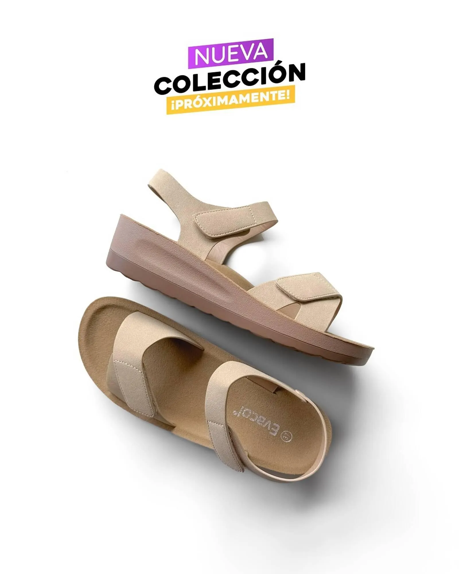 Catálogo Evacol - 1