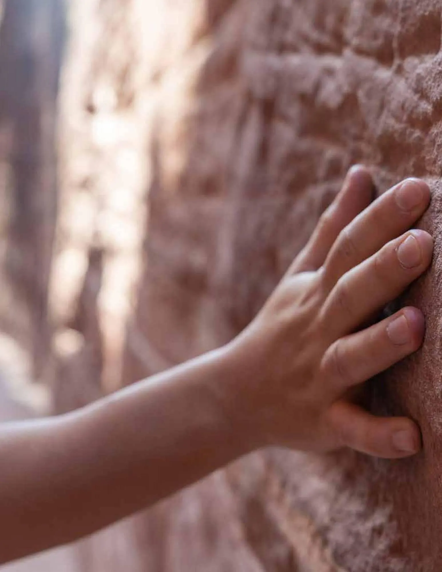 Catalogo de Catálogo Decorceramica 9 de diciembre al 31 de diciembre 2025 - Pag 7