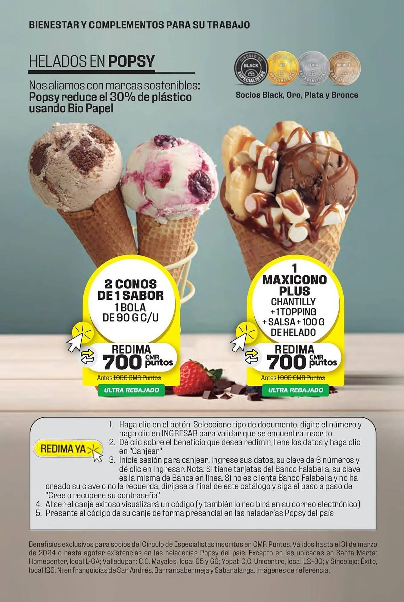 Catalogo de Catálogo Constructor 15 de enero al 31 de marzo 2024 - Pag 13