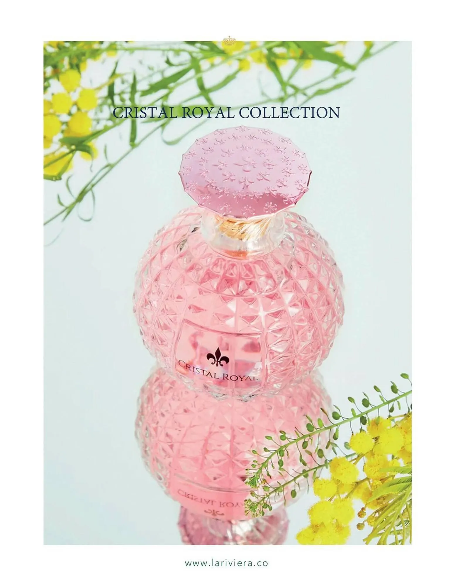 Catalogo de Catálogo La Riviera 25 de marzo al 30 de abril 2025 - Pag 8