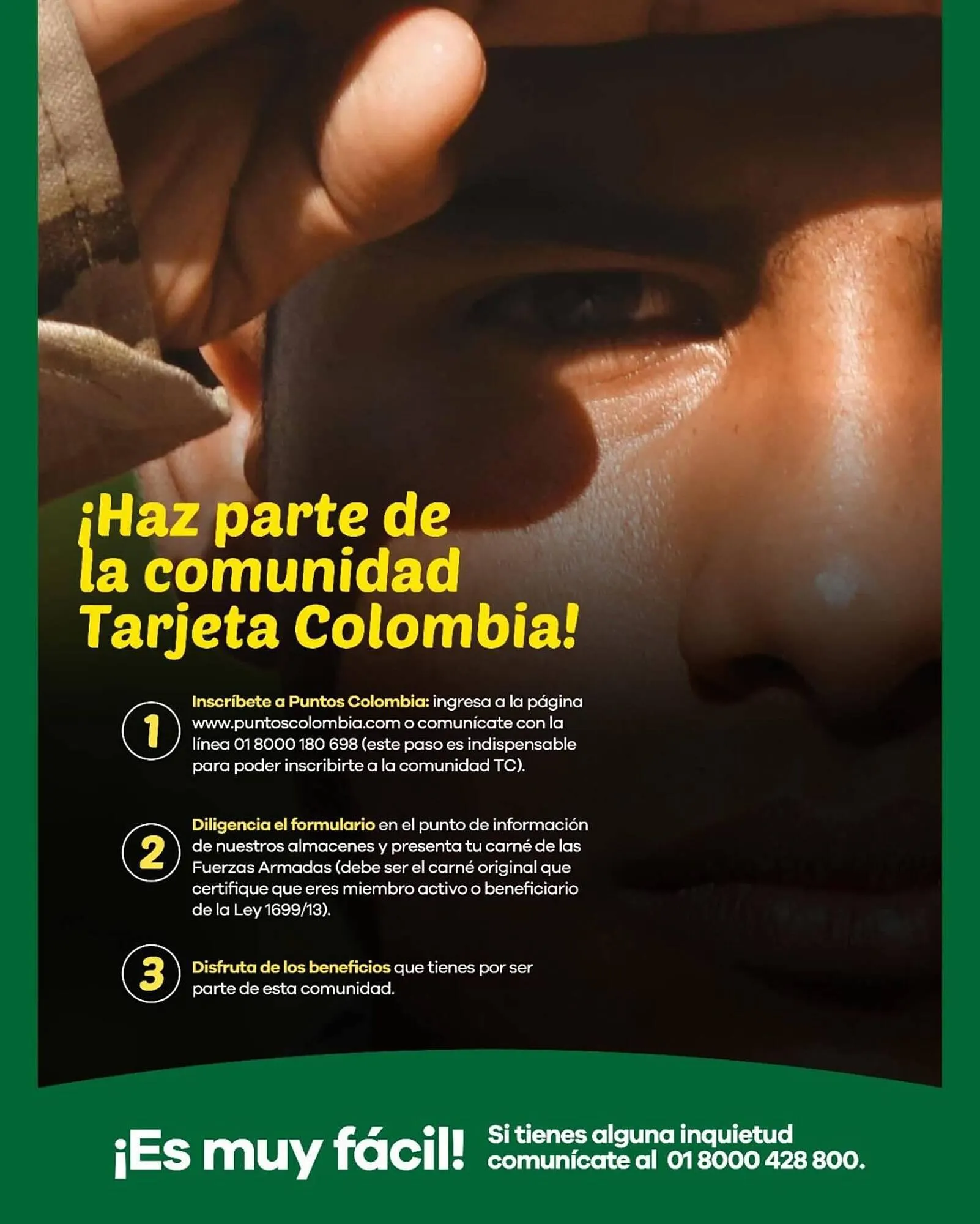 Catalogo de Catálogo Surtimax 23 de julio al 31 de diciembre 2024 - Pag 2