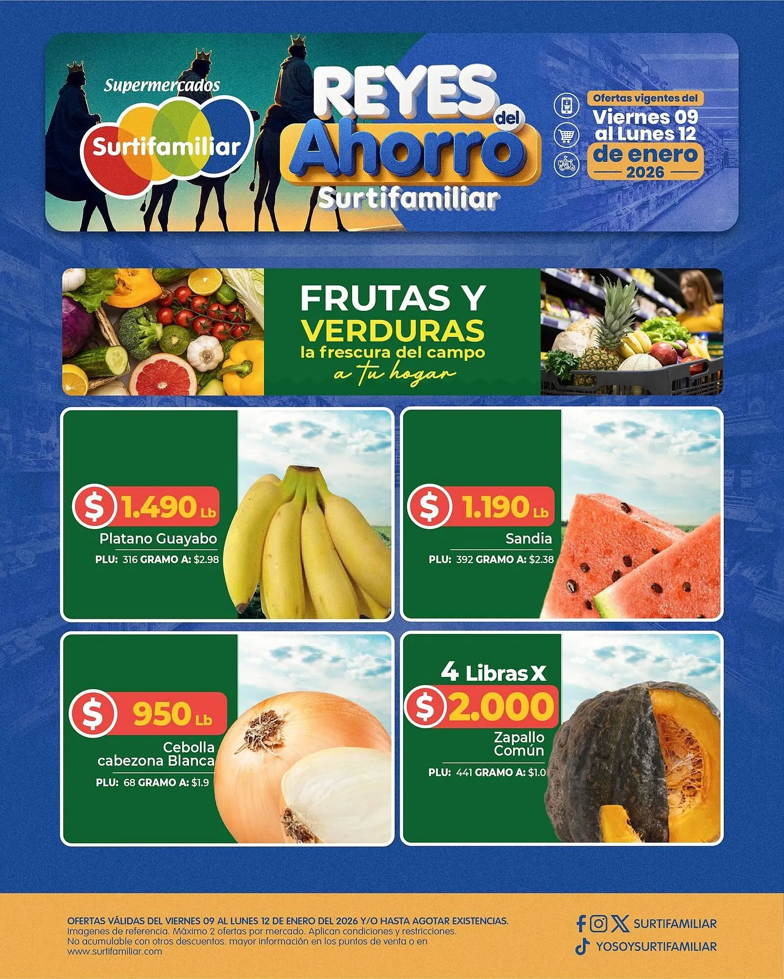 Catalogo de Catálogo Surtifamiliar 9 de enero al 12 de enero 2026 - Pag 3