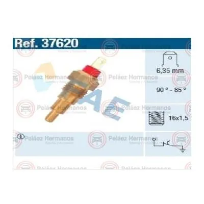 3762 - PERA TEMPERATURA