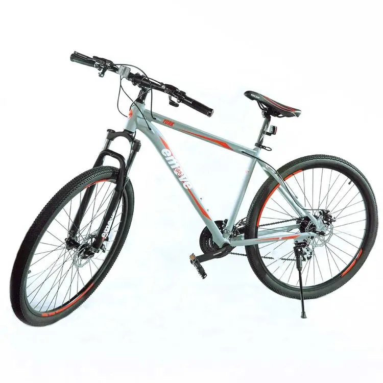 Bicicleta Todoterreno EMOVE York 29" Gris