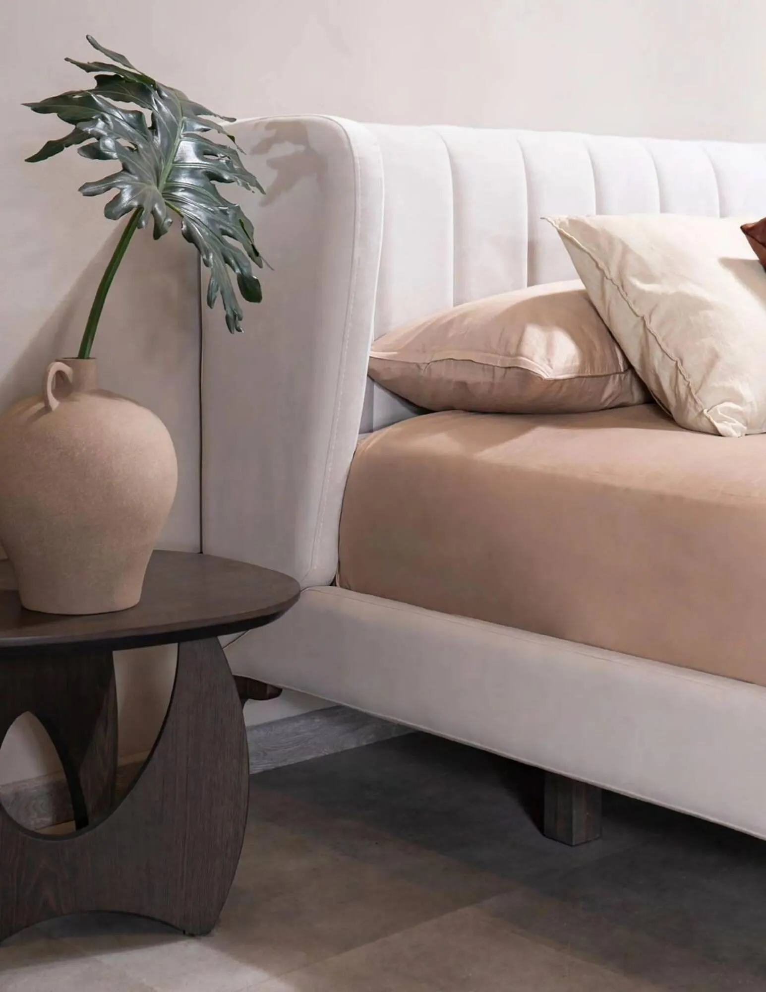 Catalogo de Catálogo Aristas 9 de febrero al 31 de diciembre 2024 - Pag 25