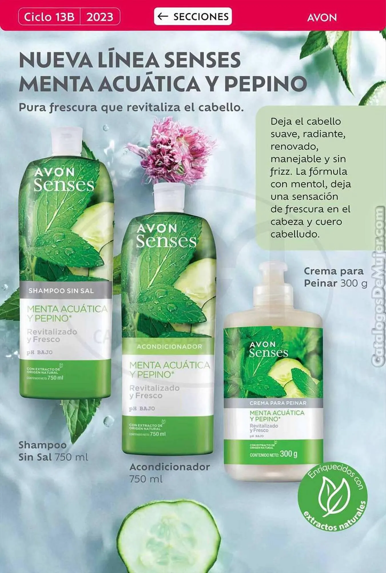 Catalogo de Catálogo Natura 31 de agosto al 15 de octubre 2023 - Pag 31