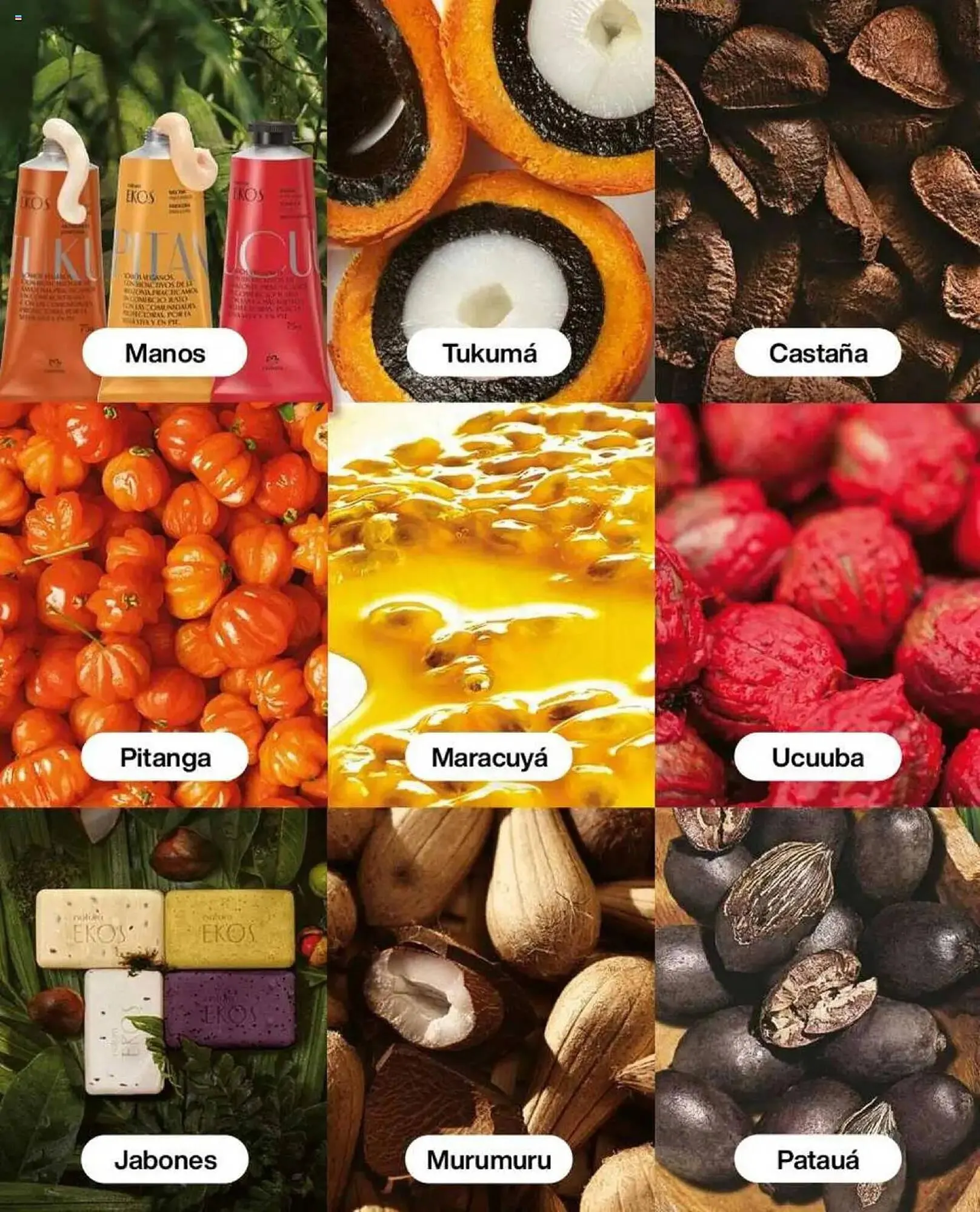 Catalogo de Catálogo Natura 26 de febrero al 31 de marzo 2025 - Pag 263