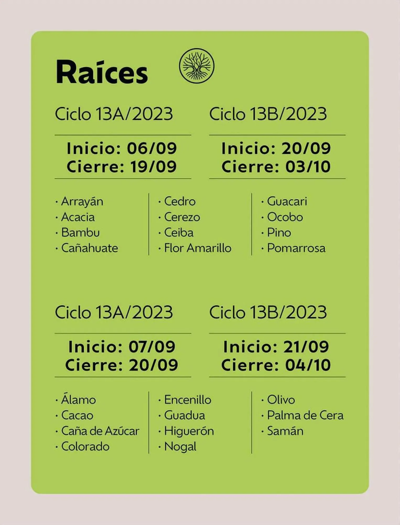Catalogo de Catálogo Natura 31 de agosto al 15 de octubre 2023 - Pag 13