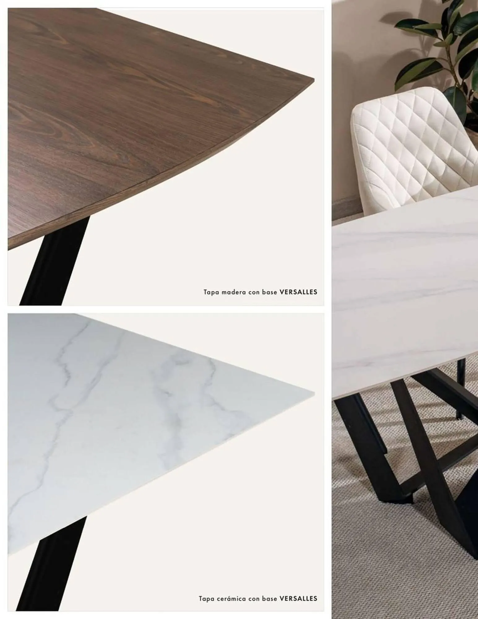 Catalogo de Catálogo Aristas 16 de septiembre al 31 de octubre 2025 - Pag 36